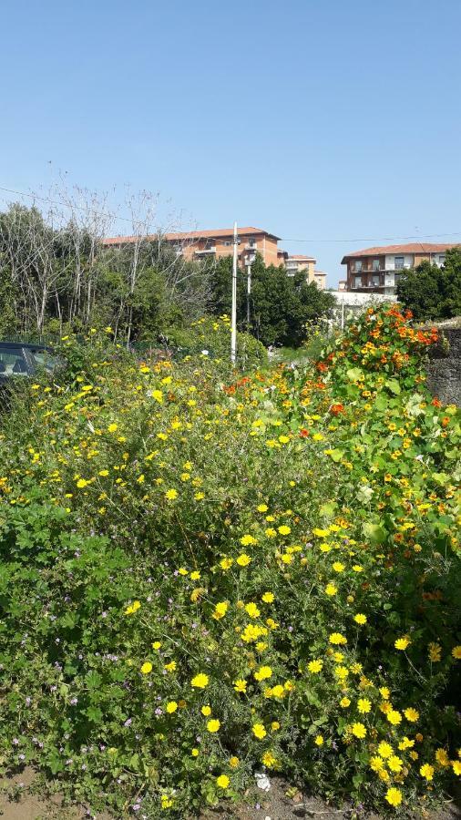 Willa Carrubo - Giardino In Citta Katania Zewnętrze zdjęcie