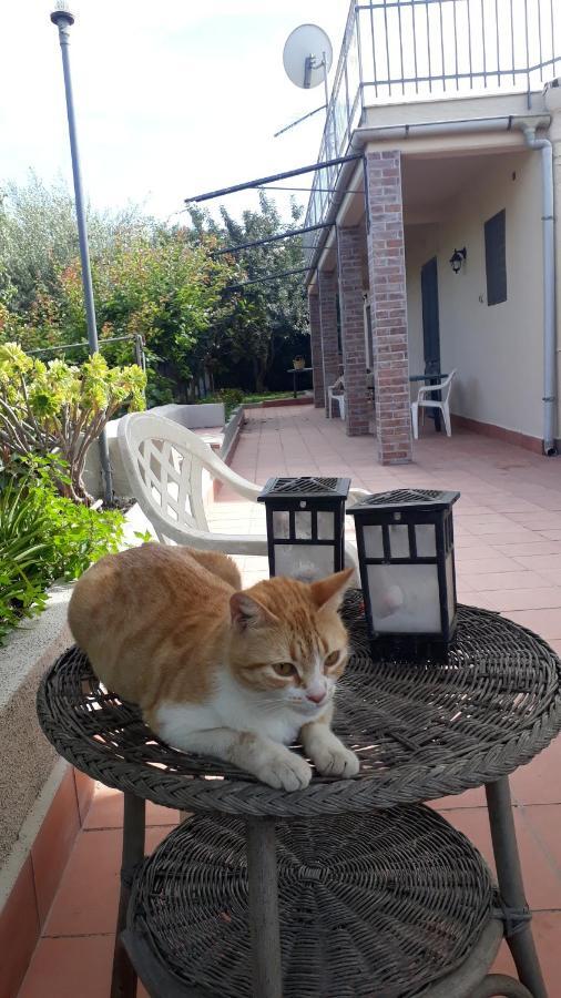 Willa Carrubo - Giardino In Citta Katania Zewnętrze zdjęcie
